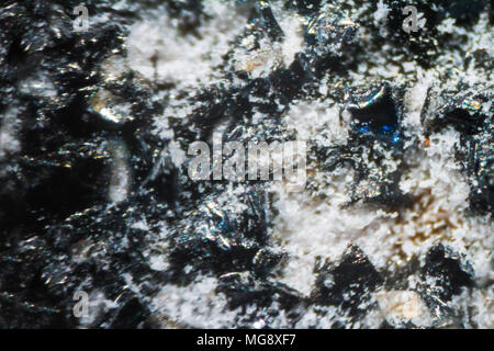 Nail bed tissue under the microscope 100x Stock Photo - Alamy