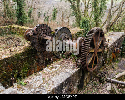 The remains of water wheel in Luxulyan Valley, Cornwall. Stock Photo