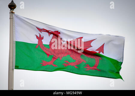 Wales flag flying on a grey cloudy day. Stock Photo