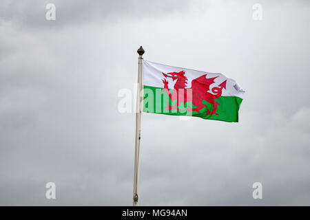 Wales flag flying on a grey cloudy day. Stock Photo