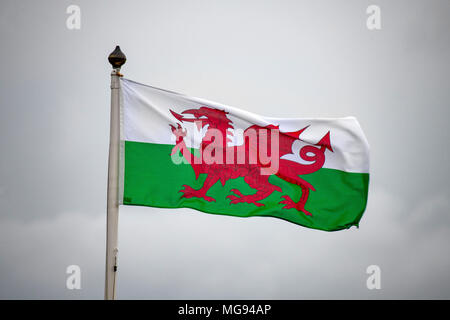 Wales flag flying on a grey cloudy day. Stock Photo