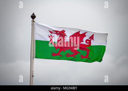 Wales flag flying on a grey cloudy day. Stock Photo