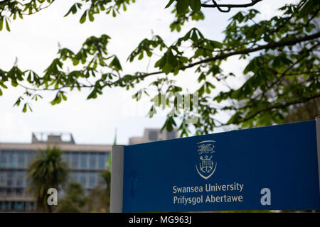 A general view of Swansea University at Singelton Park, Swansea, Wales, UK. Stock Photo