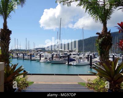 Port of Airlie Marina as seen from a pathway along side boat moorings. Stock Photo