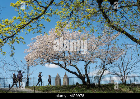 People on The Reservoir Jogging Path ,Central Park, NYC, USA Stock Photo