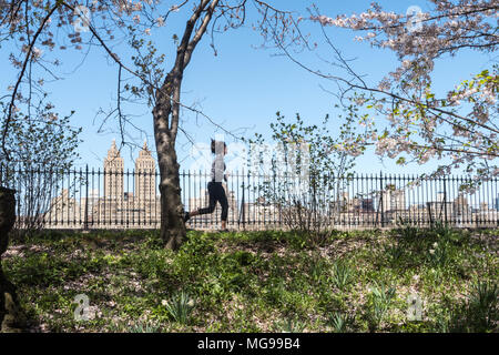Runner on The Reservoir Running Path in springtime, Central Park, NYC, USA Stock Photo