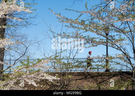 Runner on The Reservoir Running Path in beautiful springtime, Central Park, NYC, USA Stock Photo