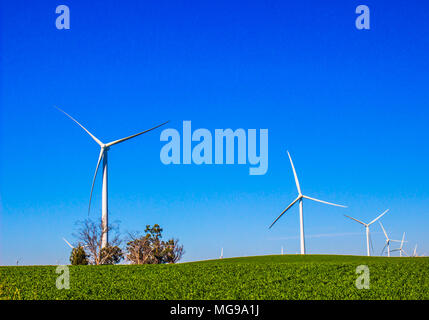 Energy Producing Windmills On Wind Farm Stock Photo