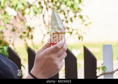 Female hand with ice cream in a cornet with a tree and a fence in the background