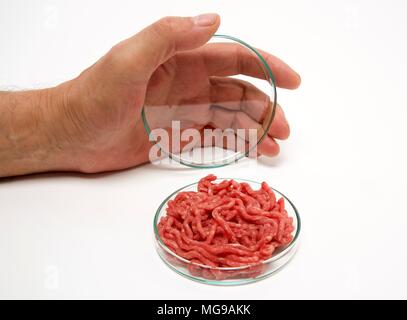 Minced meat in petri dish, studio shot. Stock Photo