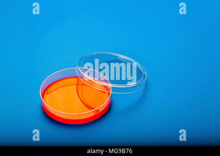 Petri dishes with blood agar. Stock Photo