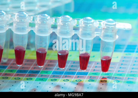 Microcentrifuge tubes with samples. Stock Photo