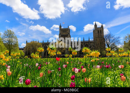 Spring Blooming in front of the Bristol Cathedral. Flowers in the foreground ethe Cathedral in the back ground. Blue sky with fluffy white clouds. Stock Photo