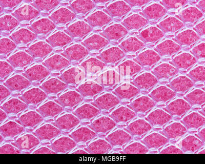 pink texture of sponge use for background Stock Photo