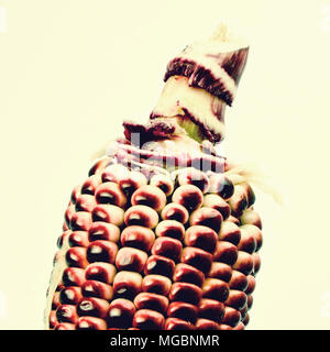 corn old vintage retro style Stock Photo