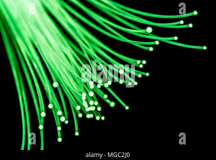 Bundle of optical fibers with green light. Black background. Stock Photo