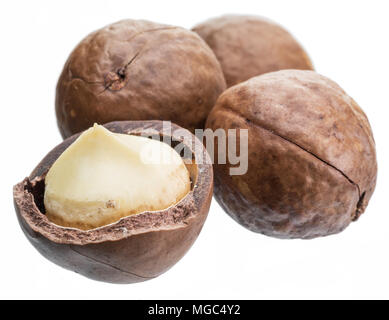 Macadamia nuts or bush nuts isolated on white background. Stock Photo