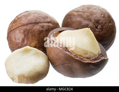 Macadamia nuts or bush nuts isolated on white background. Stock Photo