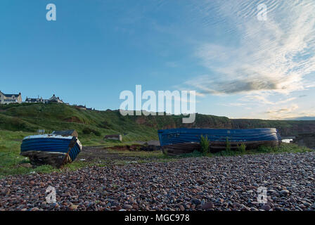 A pair of old abandoned open Wooden fishing Boats lie on the beach below the Cliff top Village of Auchmithie, near Arbroath, in Angus, Scotland. Stock Photo