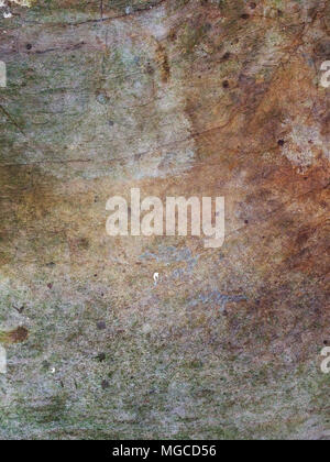 Cement surface grunge texture, good for background design slide presentation. Stock Photo