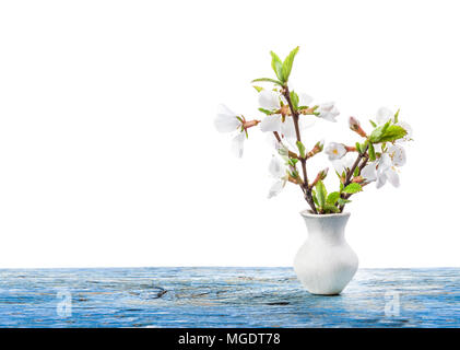 Nanking Cherry blossoms in white vase isolated on white Stock Photo