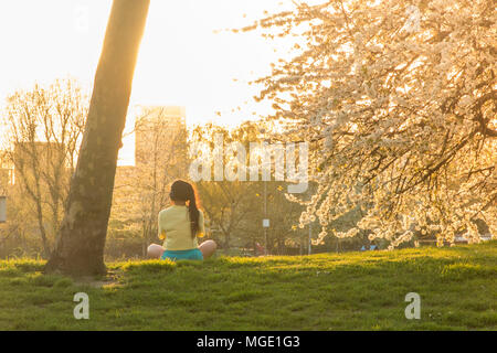 A girl meditates under the blossom of cherry trees in a park in North London Stock Photo