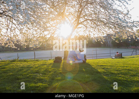 A couple sitting under a cherry tree in full blossom enjoy the views over London and the warm spring sunshine Stock Photo