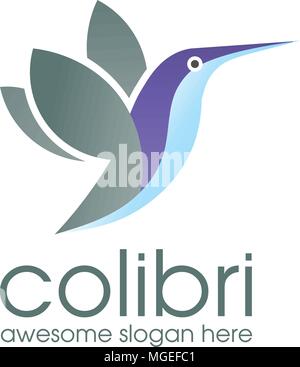 Colibri Logo Bird symbol design template, Hummingbird vector Bird cute character logo Stock Vector