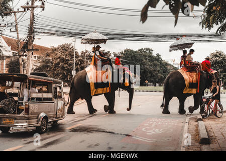 Two elephants used as a tourist attraction used to transport people crossing the street in the center of Ayutthaya blocking traffic in the streets Stock Photo