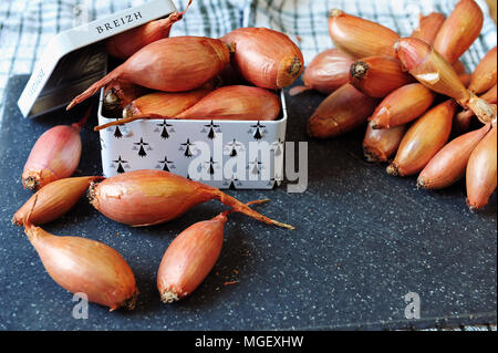 Cherrueix shallots inside a tin box with the Brittany flag, Brest, France Stock Photo