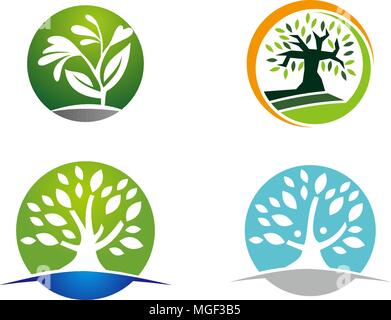 Oak Tree Template Set Stock Vector