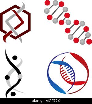 DNA Genetics Template Set Stock Vector