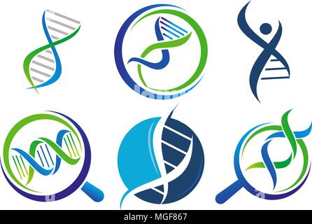 DNA Genetics Template Set Stock Vector