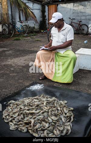 Mirissa, Sri Lanka. 27th Feb, 2018. A seller of prawns waits for buyers at the Ceylon Fishery Harbours Corporation, Fishery Harbor, in Mirissa, Sri Lanka, on Tuesday, February 27, 2018.Mirissa is a small, popular tourist town located on the south coast of Sri Lanka, approximately 100 miles south of the commercial capital and the country's largest city, Colombo. It is the largest fishing port on the south coast and is known for its tuna, mullet, snapper and butterfish. Mirissa was hit by giant waves during the 2004 Indian Ocean tsunami, which destroyed and severely damaged many homes Stock Photo