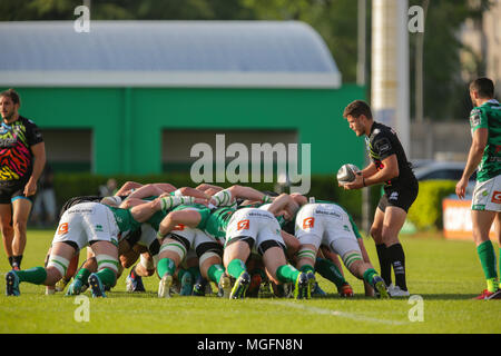 Treviso, Italy. 28th April, 2018. Zebre's scrum half with the put in scrum in the match against Benetton in GuinnessPro14©Massimiliano Carnabuci/Alamy Live news Stock Photo
