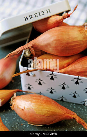 Cherrueix shallots (from la Ferme des Beaux Bois) inside a tin box with the Brittany flag. Stock Photo