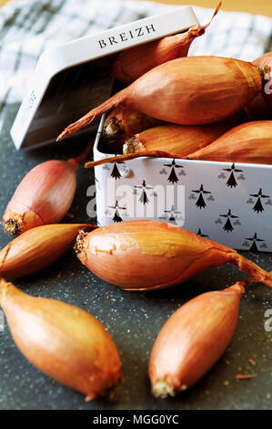 Cherrueix shallots (from la Ferme des Beaux Bois) inside a tin box with the Brittany flag. Stock Photo