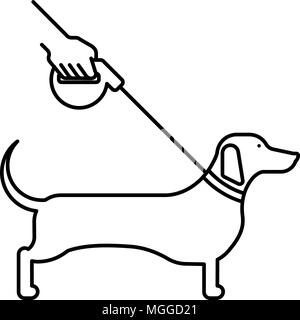 Line icon dog Dachshund walking on a leash, isolated on white Stock Vector