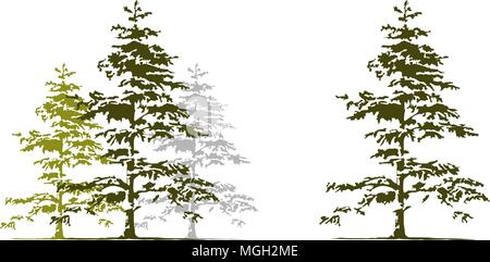 Cedar Tree Template Set Stock Vector