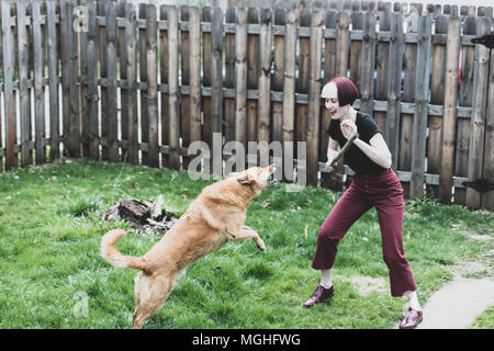Playful Pup Stock Photo