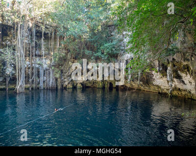 Yokdzonot, Chichen Itza, Mexico, South America: [Yokdzonot cenote, natural pit sinkhole, swimming and relaxing tourist attraction in Mexico Stock Photo