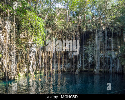 Yokdzonot, Chichen Itza, Mexico, South America: [Yokdzonot cenote, natural pit sinkhole, swimming and relaxing tourist attraction in Mexico Stock Photo