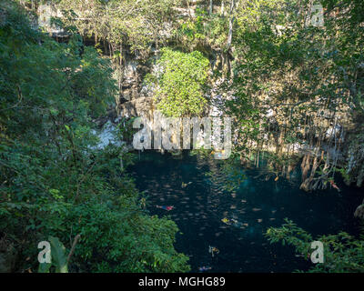 Yokdzonot, Chichen Itza, Mexico, South America: [Yokdzonot cenote, natural pit sinkhole, swimming and relaxing tourist attraction in Mexico Stock Photo