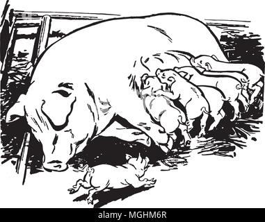 Sow With Piglets - Retro Clipart Illustration Stock Vector