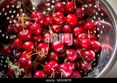 Fresh ripe cherry in colander at sunny morning.Metal strainer with sweet red berries and cherry on wooden background. Stock Photo