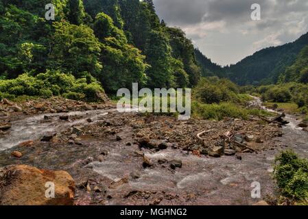 The Jigokudani Monkey Park is a great Place to see Monkeys in Japan Stock Photo