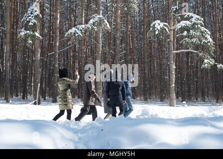 UFA, RUSSIA 29TH MARCH 2018 - Family of adults walking through a snow covered woodland area in the golden March sun enjoying nature during the winter  Stock Photo