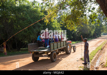 Female park workers sitting in tractor passing through barrier gate, Sigiriya, Central Province, Sri Lanka, Asia. Stock Photo