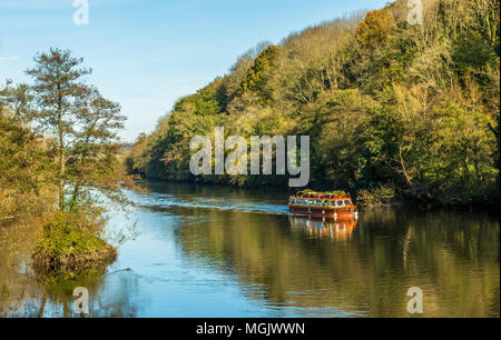 The Wye Pride passenger boat making its way down the River Wye near Symonds Yat Herefordshire. Stock Photo
