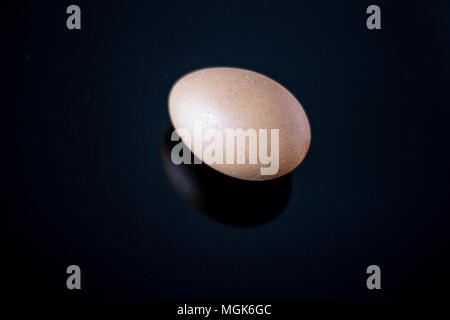 Brown egg on the black reflective surface Stock Photo